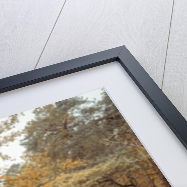 Canal through forest by Assaf Frank